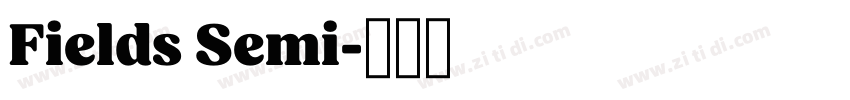 Fields Semi字体转换